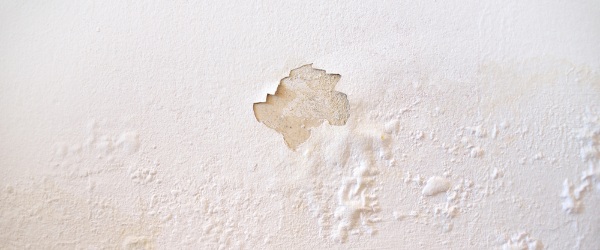 rastros de humedad rastros de humedad