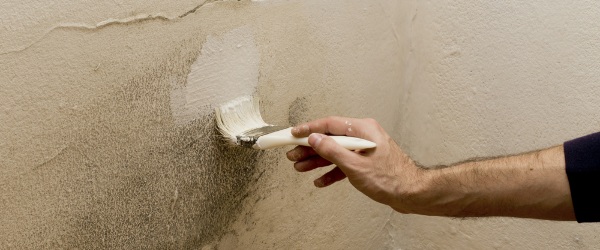pintura anti moho pintura anti moho