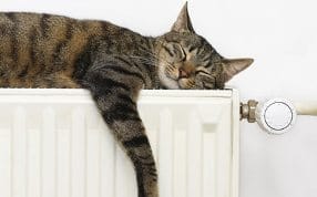 Hermoso gato durmiendo en un radiador casero Calefacción central y válvulas termostáticas con un gato que prueba todo