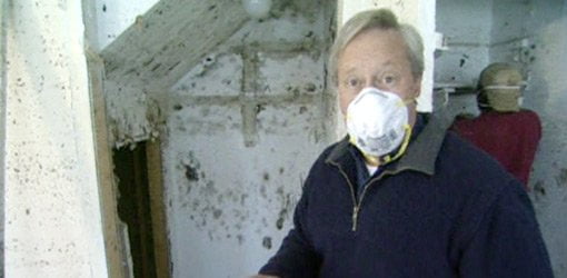 Cómo prevenir y eliminar el moho en su hogar Danny Lipford en habitación mohosa