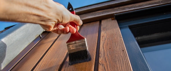 pintura exterior pintura exterior