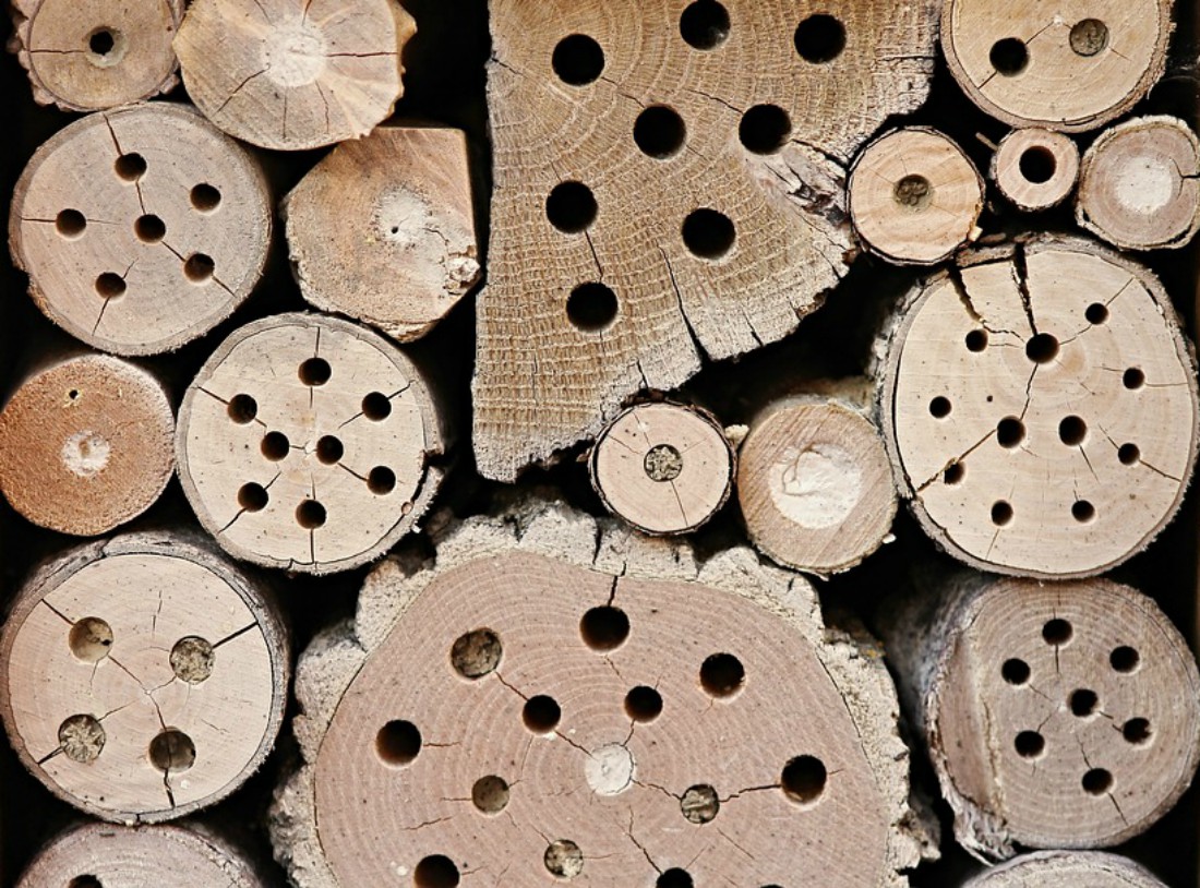 Sierra de corona para taladrar madera con taladro: ¿cuál elegir?