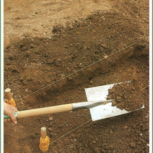 La creación de un jardín de espárragos comienza con la excavación de zanjas paralelas de 20 cm de profundidad.