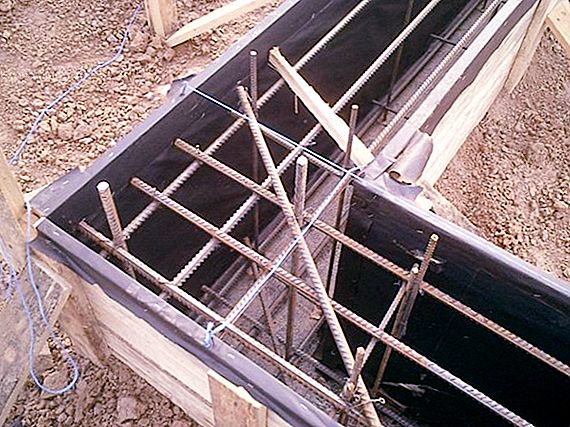 Cómo hacer accesorios Imagen