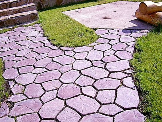 Cómo hacer mosaicos de pista Imagen