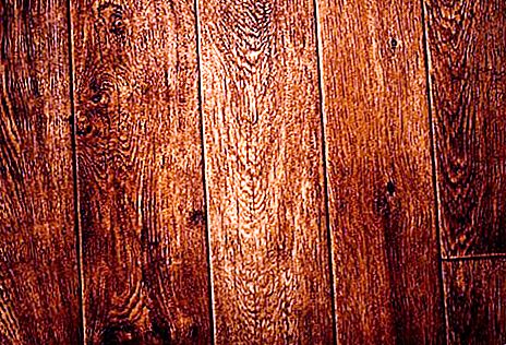 Cómo envejecer un árbol Imagen