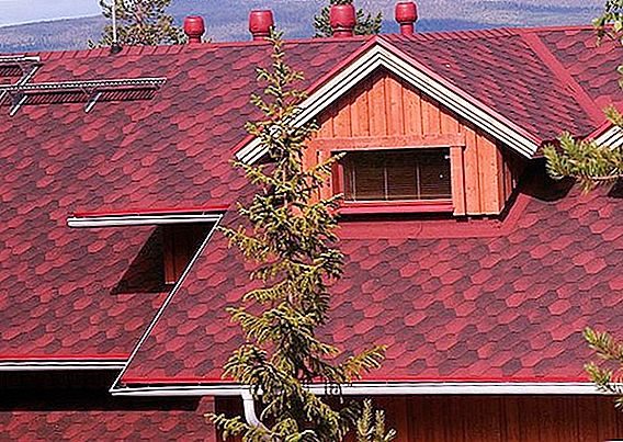 Desventajas de los techos de tejas blandas