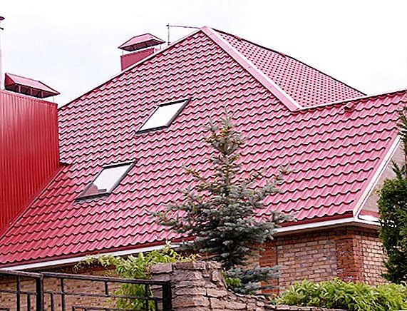 Comparación de las propiedades de Ondulin y Ceramoplast Imagen